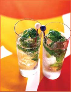 ���������׵�10��ʳ��