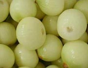 ���������׵�10��ʳ��