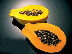 2006���ע����Ӫ��ʳ��