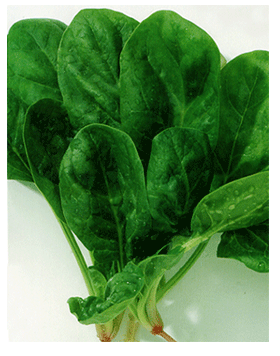 ������Ҫ��Ե�10��ʳƷ