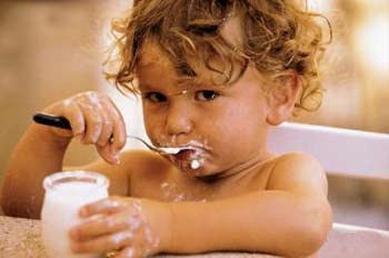 24��ʳ�ﱦ������