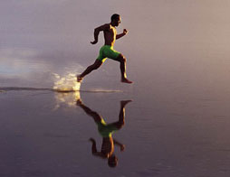 ��˭����͵������Ľ���