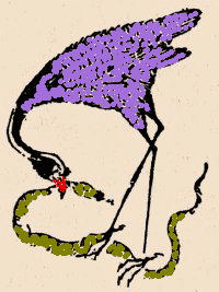 ����й��Ŵ��ϳ��ݵȾŴ�ҩ