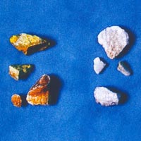 ����й��Ŵ��ϳ��ݵȾŴ�ҩ