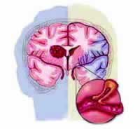 �������ҿɽ���ĳЩ������Ů������Σ��