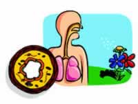 ֧��������