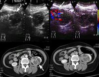 �෿����������