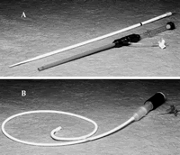 ��Ƥ��������������������