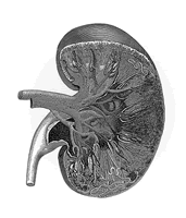 ����ܶ��ڸ������RDS��������ת��