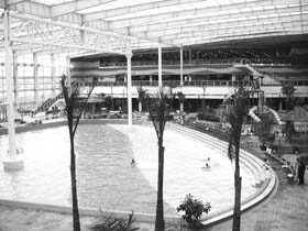  			����Ȫ���������ʺ�