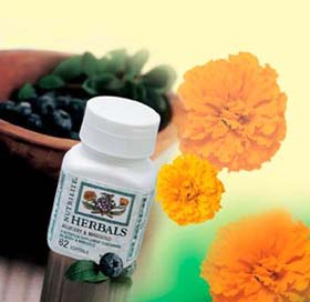  			���쳤����������Ͷ�ʼƻ�