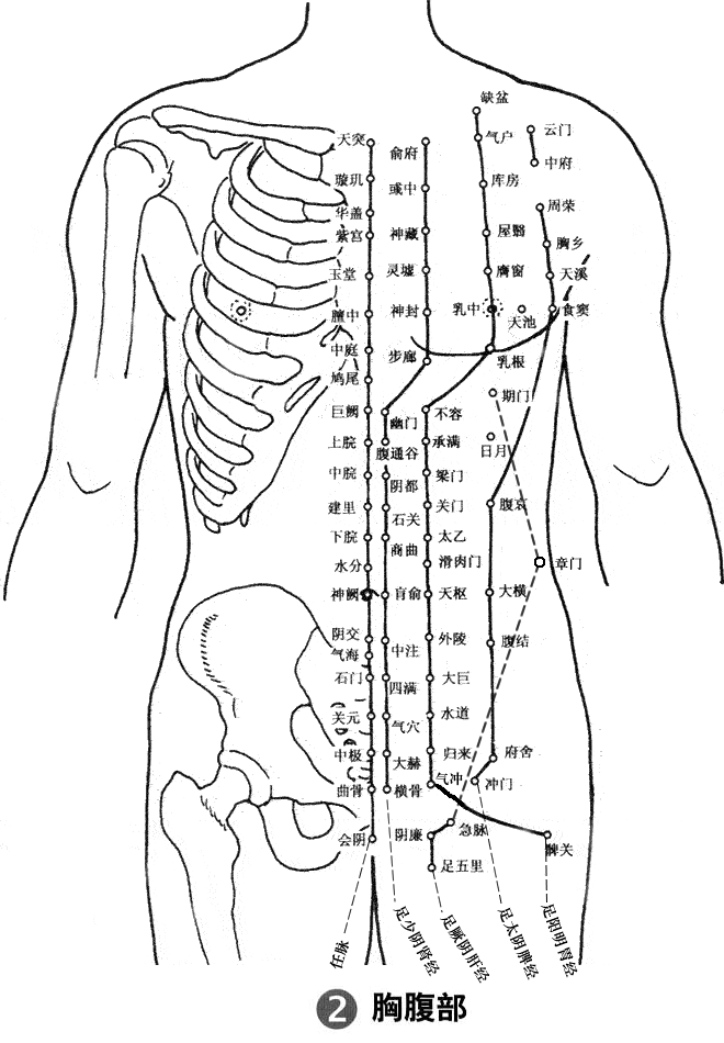 ����Ѩλͼ�ף�ʮ�ľ�Ѩ������λ�ֽ⣩