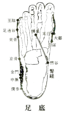 ����Ѩλͼ�ף�ʮ�ľ�Ѩ������λ�ֽ⣩