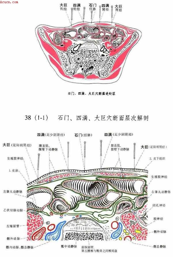 �м�����ա��������ӹ�Ѩ�����ν���ͼ��