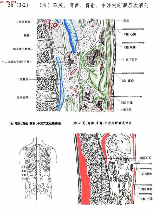 ʯ�ء����������ࡢ��עѨ�����ν���ͼ��