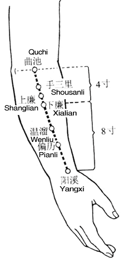 �������󳦾�Ѩ