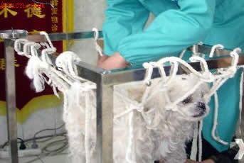 ����Ҳ���