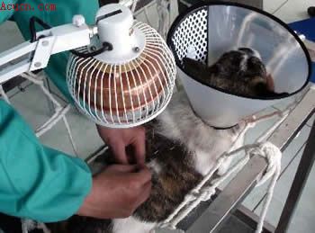 ����Ҳ���