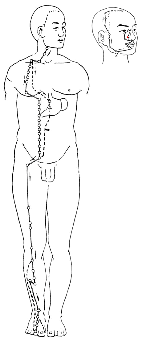 ������θ��ѭ��ͼ��