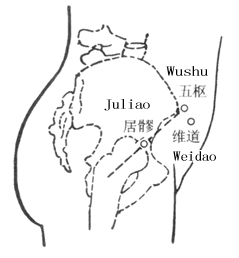 ����������Ѩ