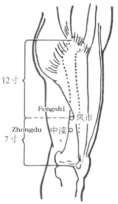 ����������Ѩ