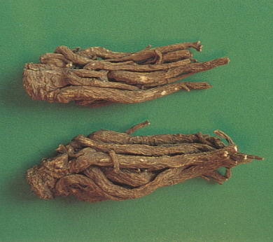 ����ͼƬ��