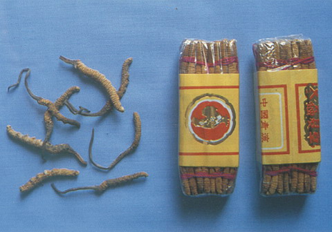 �����Ĳ�ͼƬ��