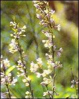 ܾ��(кˮ����������ͨ�����ⶾ����)