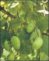 �ʲ�����;����