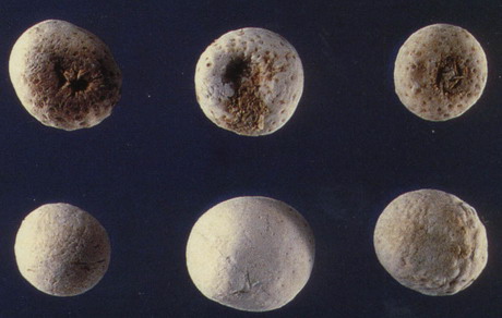 ����ͼƬ��