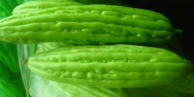 ������κ�������