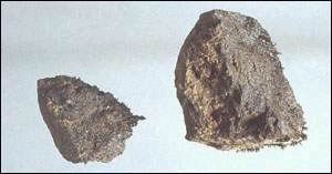 ��ʯ��Ǳ���������򾪰���