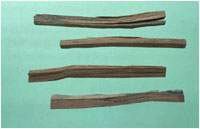 ��ľ����Ѫ��������