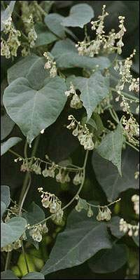 ҹ���٣����ģ�����