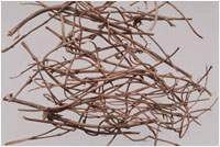 ҹ���٣����ģ�����