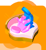 �԰����ƴ�ȫ