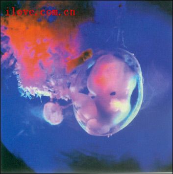 ����ǽ��֮�ڣ��������ǰ����ľŸ���