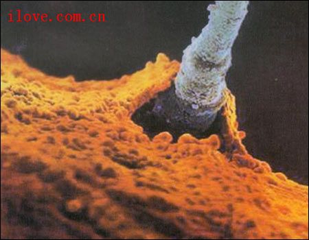 ����ǽ��֮�ڣ��������ǰ����ľŸ���