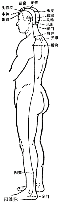 ������ �澭����