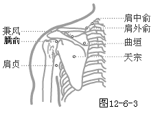 ʮ ̫С19Ѩ