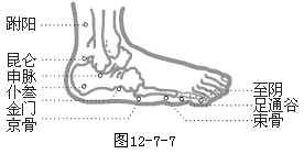 ʮ������ �ߡ���̫�����׾�����67Ѩ��