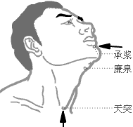 �澭���� ������������24Ѩ��