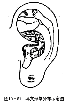 �ġ������Ʒ�