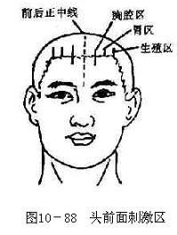 �塢ͷ���Ʒ�