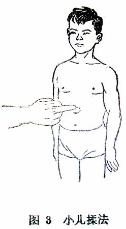 [��¼] С�������Ʒ�