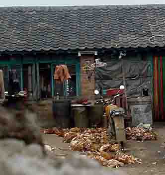 ���⣺������Ż���ռ��ӹ�ȫ����