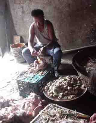 ���⣺������Ż���ռ��ӹ�ȫ����