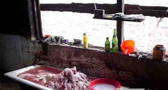 ���⣺������Ż���ռ��ӹ�ȫ����