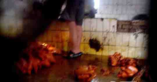 ���⣺������Ż���ռ��ӹ�ȫ����