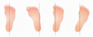 �������¶��ܽ�����������